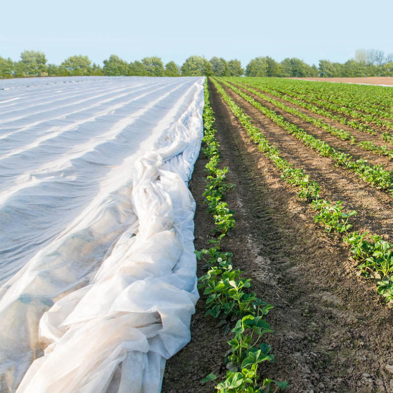 Tessuto agricolo a livello ultra largo