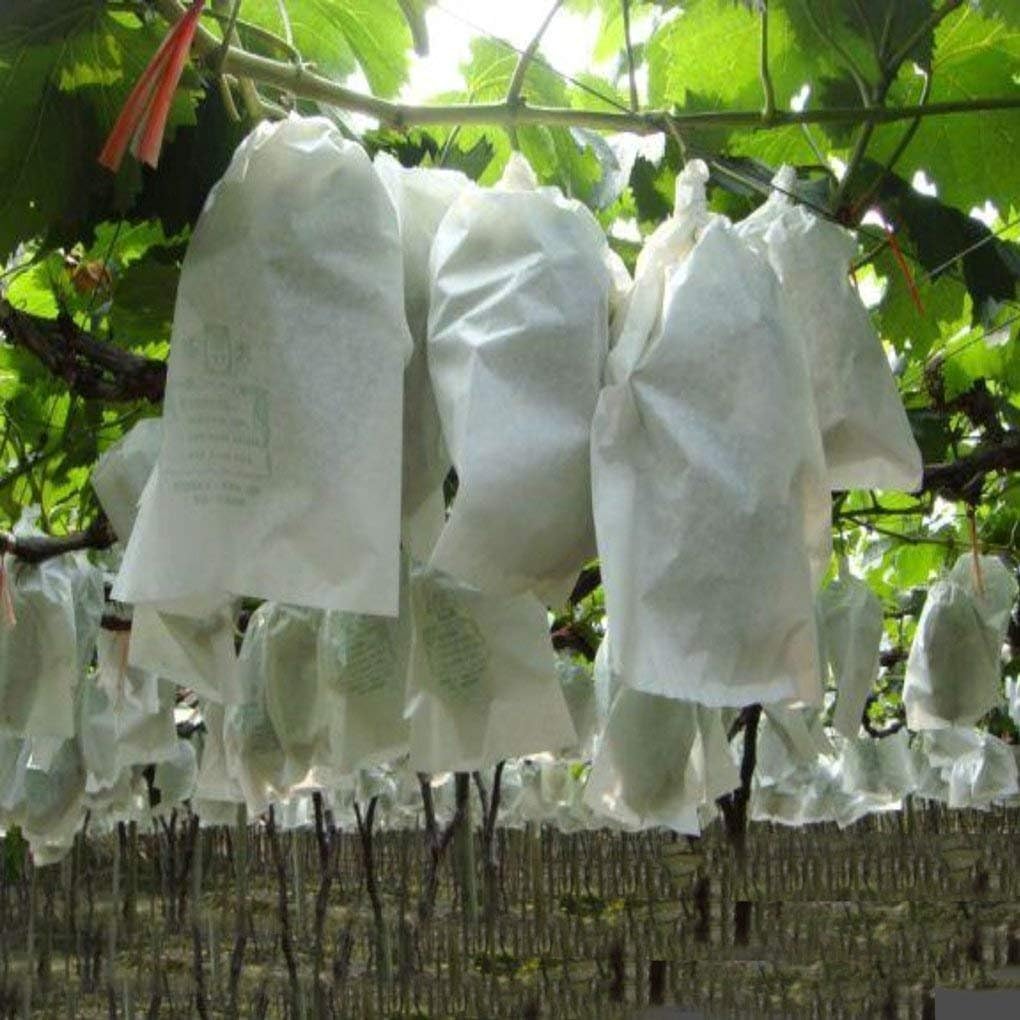 Copertina di pianta non tessuta Brana Garden Tessuto