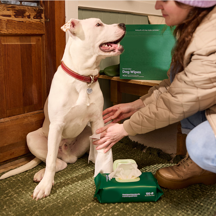 Wipes bagnati per animali domestici: un punto di svolta per l'igiene degli animali domestici o solo una tendenza di passaggio?